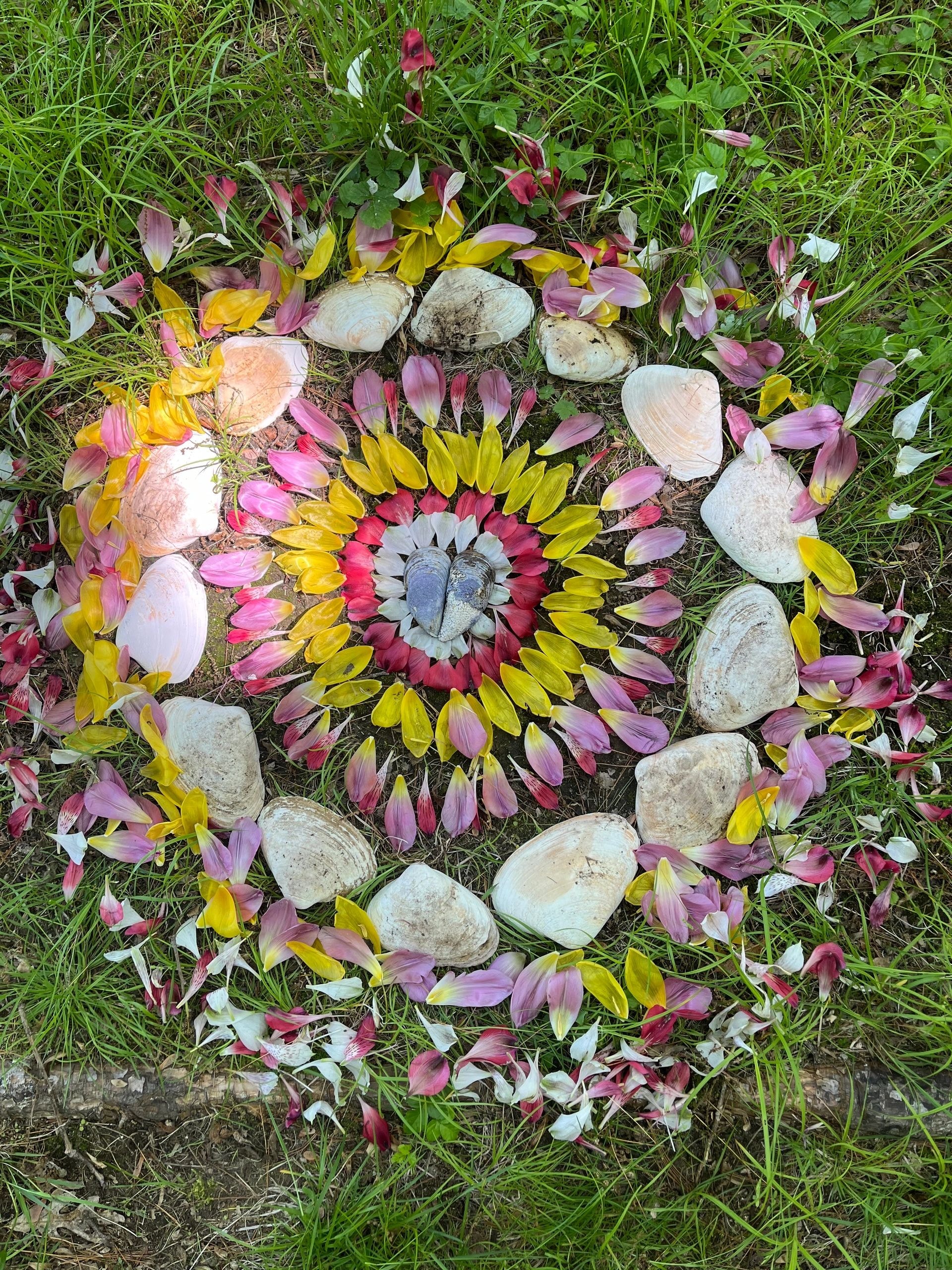 Kristi — healing and coaching
